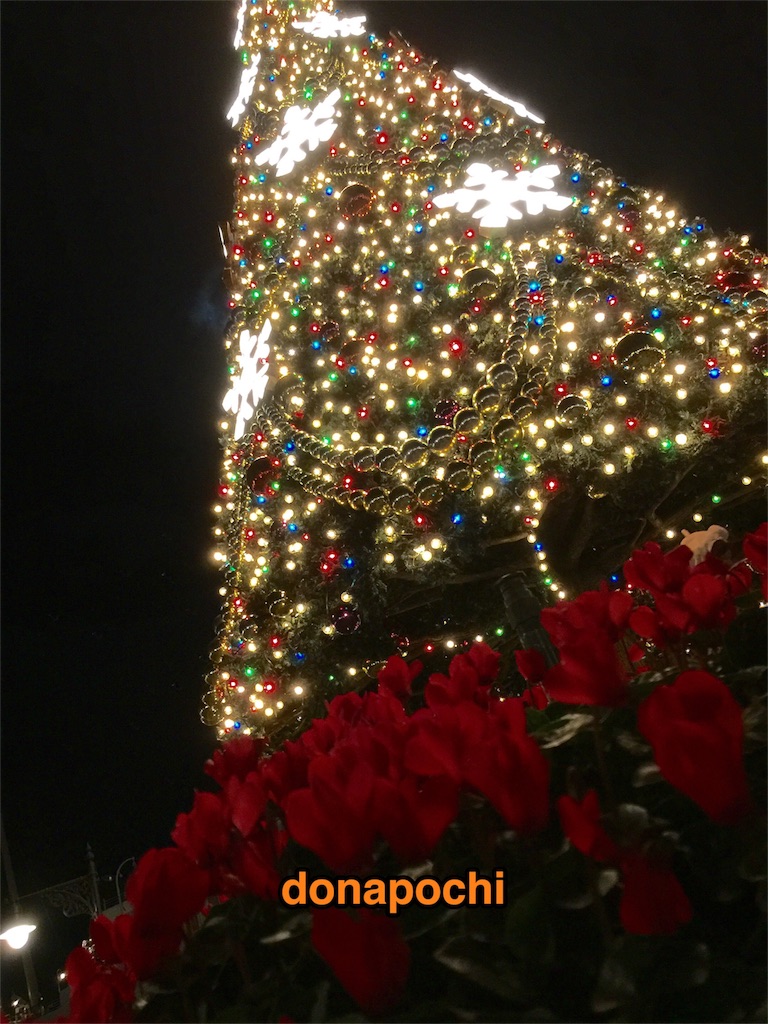 f:id:donapochi:20151119193006j:image f:id:donapochi:20151119193006j:image