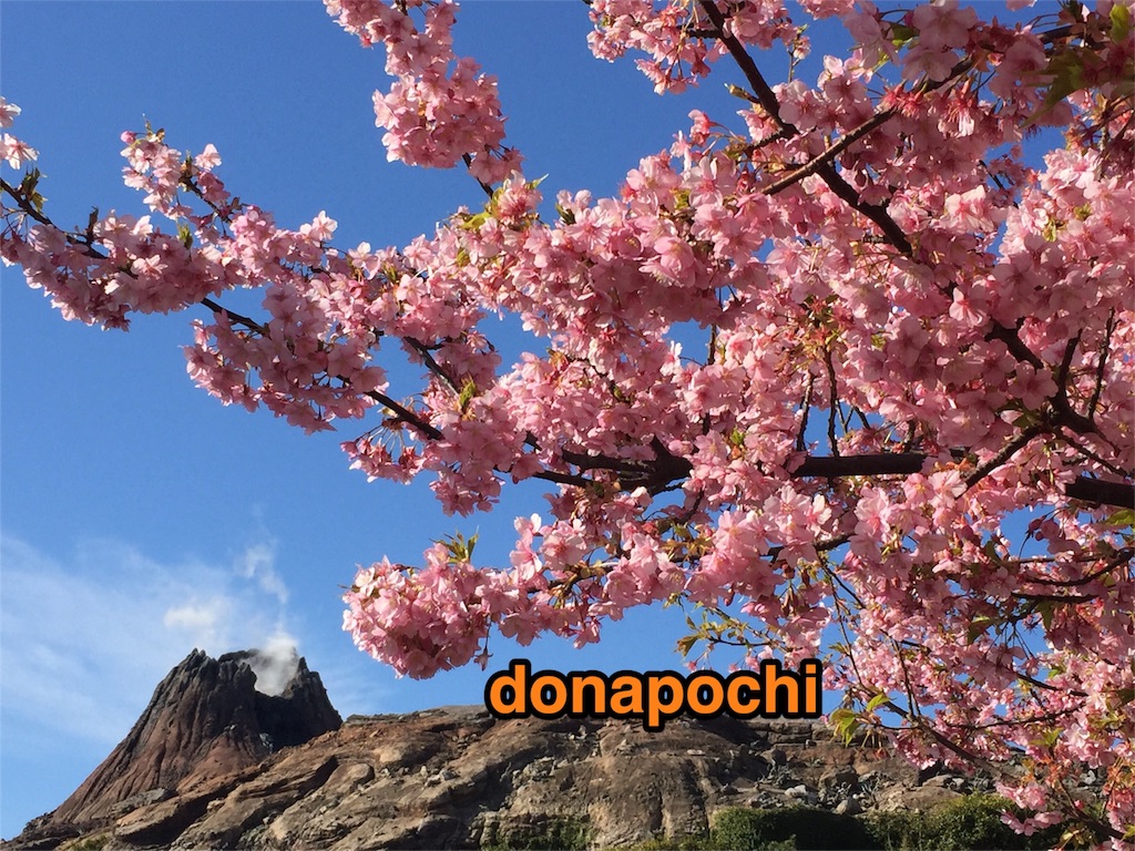 f:id:donapochi:20160228001020j:image f:id:donapochi:20160228001020j:image