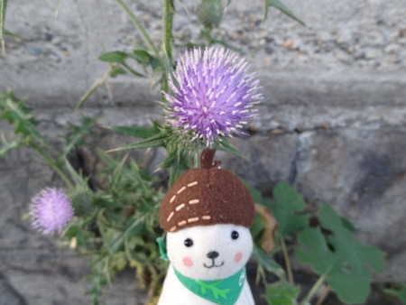 f:id:donguriboshi:20140613232607j:plain