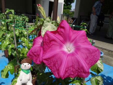 f:id:donguriboshi:20140831010335j:plain f:id:donguriboshi:20140831010335j:plain