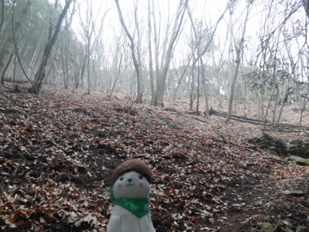 f:id:donguriboshi:20150329110917j:plain f:id:donguriboshi:20150329110917j:plain