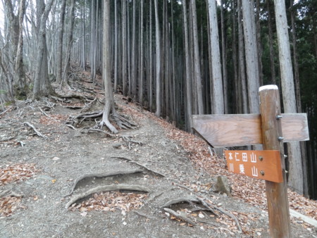 f:id:donguriboshi:20150329111244j:plain f:id:donguriboshi:20150329111244j:plain