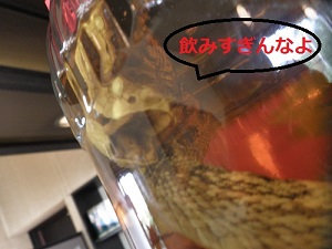f:id:dongurime:20150530023119j:plain f:id:dongurime:20150530023119j:plain