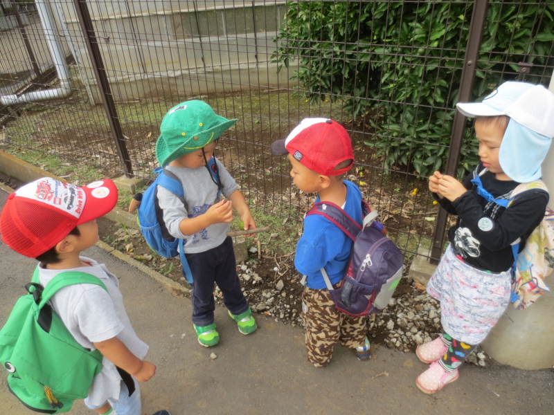 f:id:donkoro:20140710104137j:plain