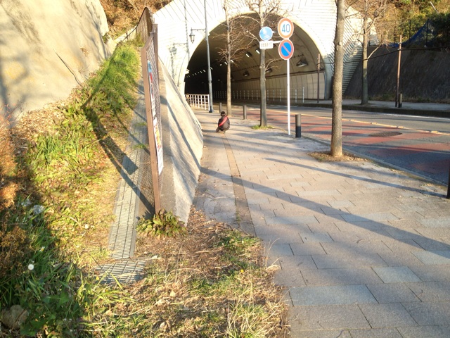 f:id:doorsheries:20140201174001j:plain f:id:doorsheries:20140201174001j:plain