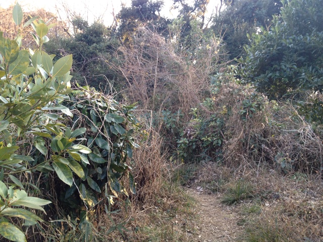 f:id:doorsheries:20140201174743j:plain f:id:doorsheries:20140201174743j:plain