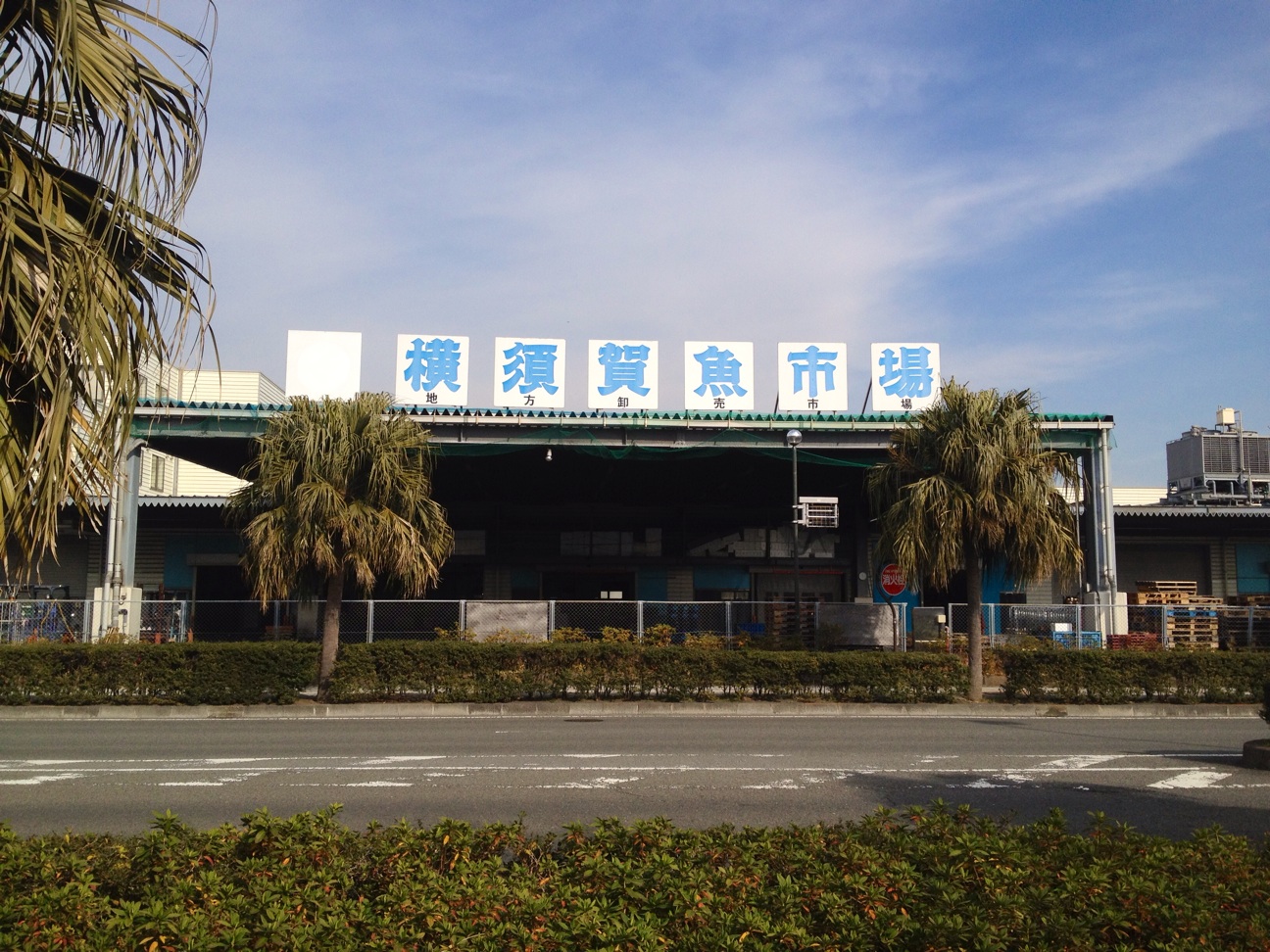 f:id:doorsheries:20140323180222j:plain f:id:doorsheries:20140323180222j:plain