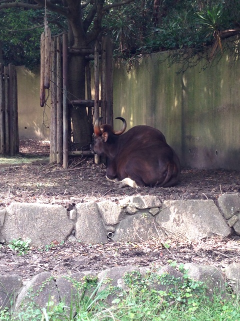 f:id:dorymogy:20141012203311j:plain f:id:dorymogy:20141012203311j:plain