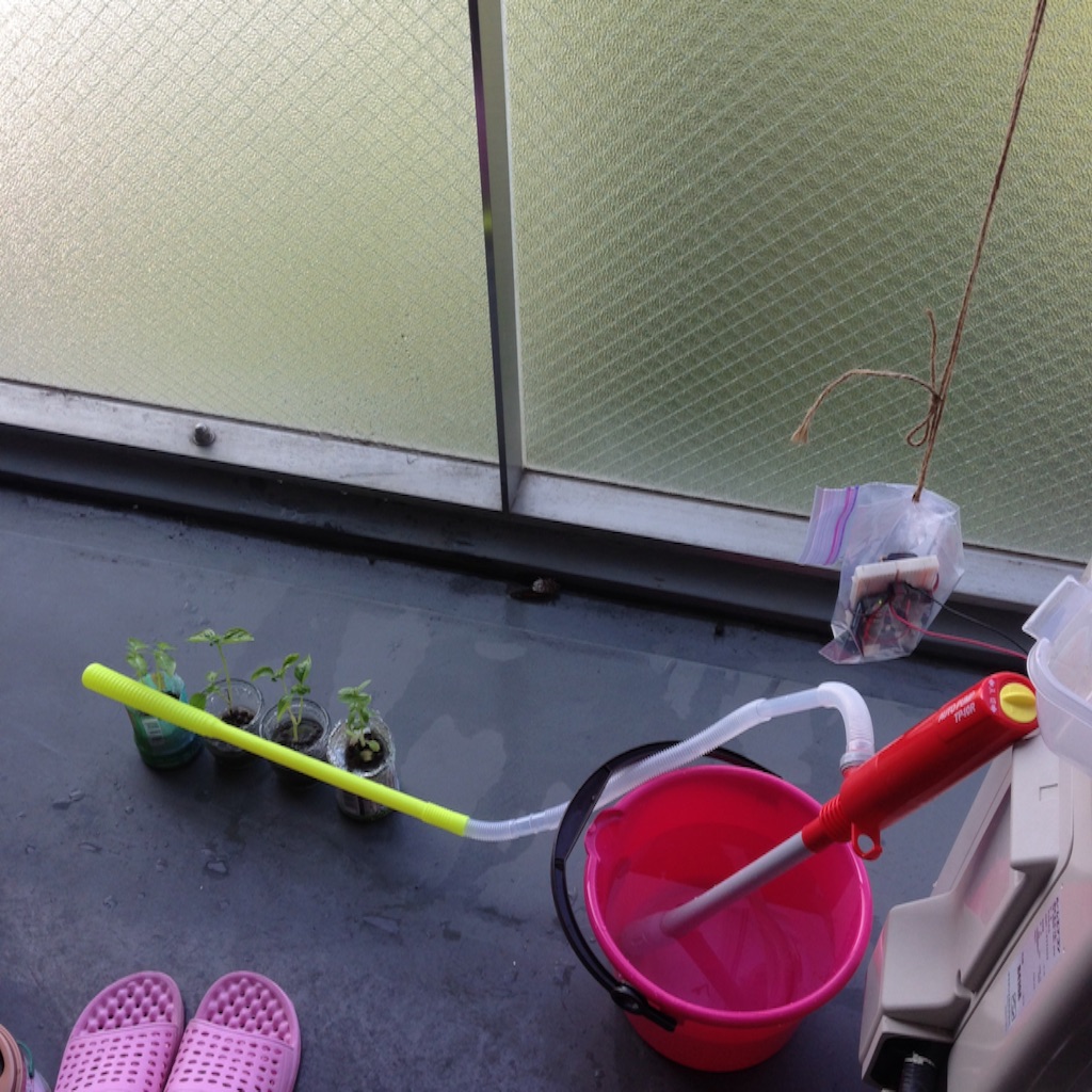 f:id:doughnutomo:20150809102243j:image f:id:doughnutomo:20150809102243j:image
