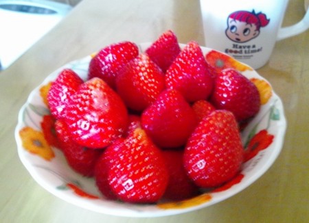 f:id:doukyoninday:20110412145830j:image