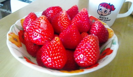 f:id:doukyoninday:20110412145902j:image