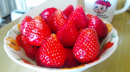 f:id:doukyoninday:20110412145950j:image