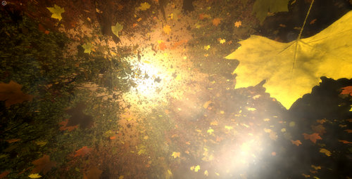 f:id:doxas:20140921170352j:plain