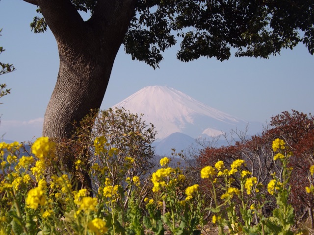 f:id:doyoubi92724169:20150120174027j:plain f:id:doyoubi92724169:20150120174027j:plain