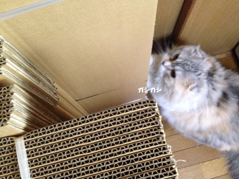 f:id:dq10bucciap:20150617224940p:plain f:id:dq10bucciap:20150617224940p:plain