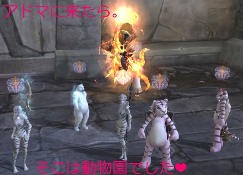 f:id:dream_moon:20100828203238j:image f:id:dream_moon:20100828203238j:image