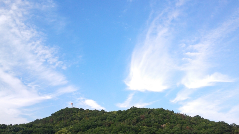 f:id:dreamjourney:20150527215136j:plain f:id:dreamjourney:20150527215136j:plain