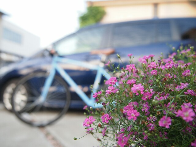 f:id:dreamjourney:花と自転車(ナスキー):image f:id:dreamjourney:花と自転車(ナスキー):image
