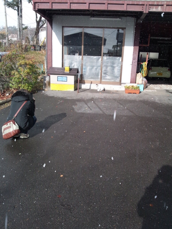 f:id:drum3dai:20121118092619j:image f:id:drum3dai:20121118092619j:image