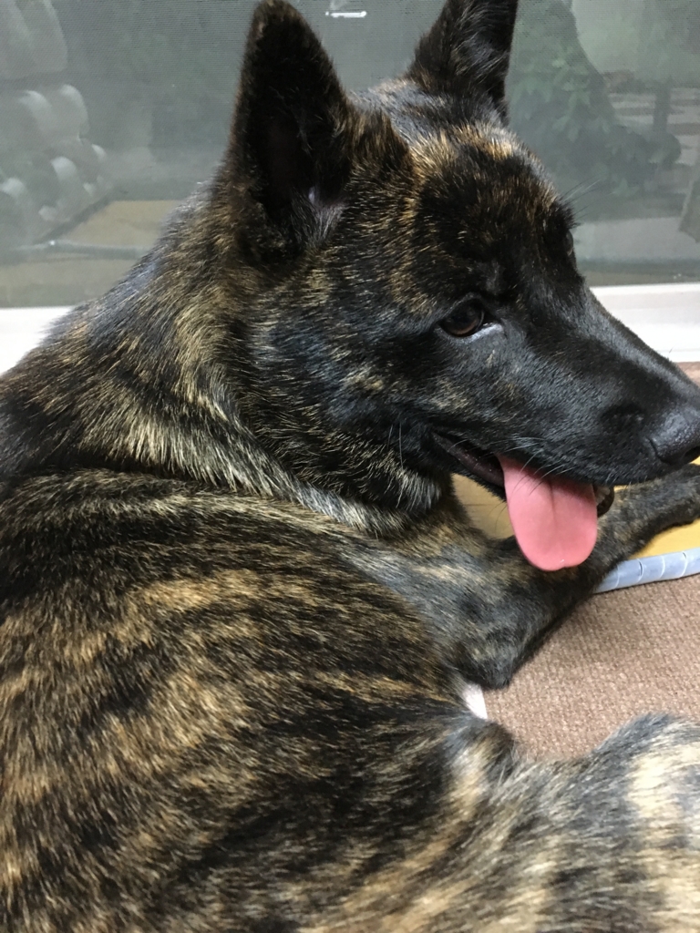 f:id:drunkard_kim:20160425224516j:plain