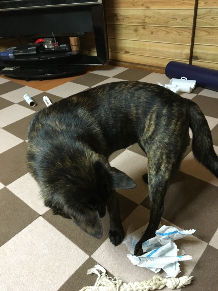 f:id:drunkard_kim:20160429231638j:plain f:id:drunkard_kim:20160429231638j:plain