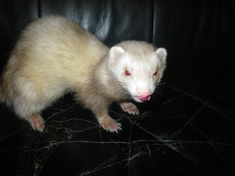 f:id:duran3616:20120606005333j:image:w520 f:id:duran3616:20120606005333j:image:w520