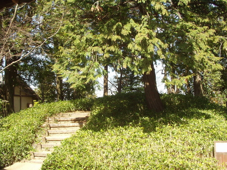 難波田城公園②水塚