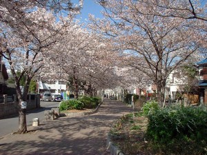 f:id:e-namba:20060403202901j:image