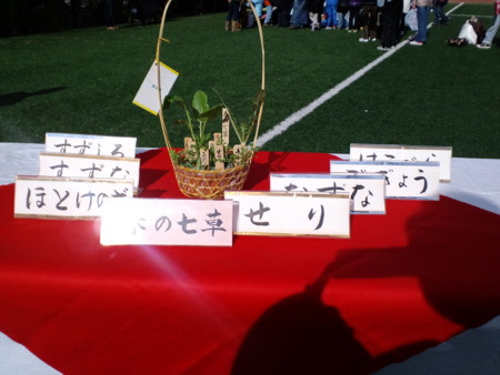 f:id:e-namba:20100107165308j:image