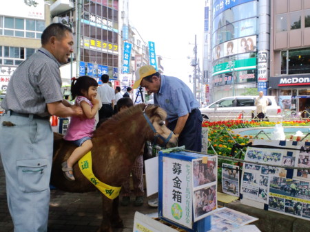 f:id:e-namba:20100612231731j:image