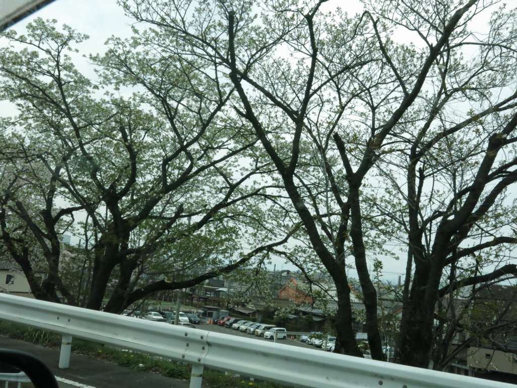 f:id:e-san0417:20160331221445j:plain f:id:e-san0417:20160331221445j:plain