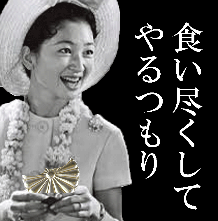 f:id:e-vis:20151225163647g:plain f:id:e-vis:20151225163647g:plain
