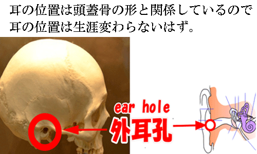 f:id:e-vis:20160418234856g:plain f:id:e-vis:20160418234856g:plain