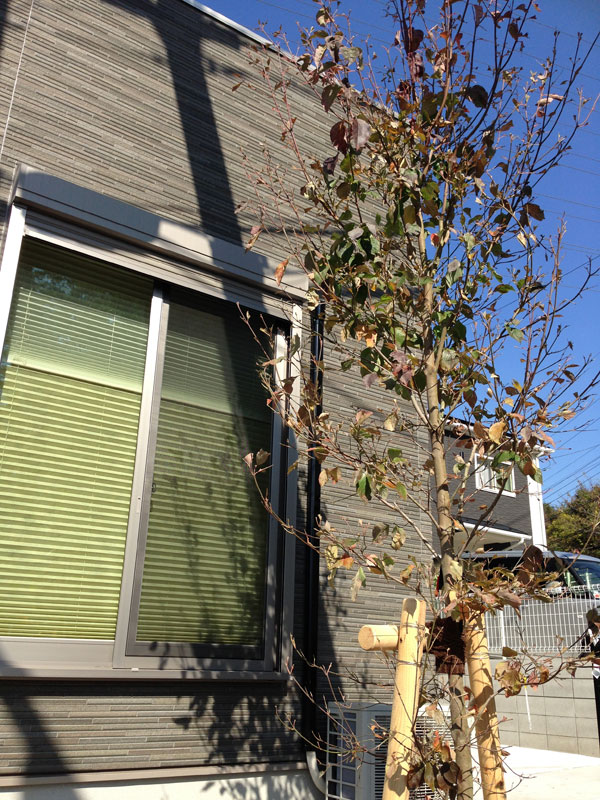 f:id:earth-giken:20151210173052j:plain f:id:earth-giken:20151210173052j:plain