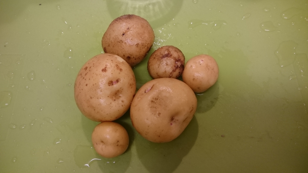 f:id:eatgarden:20141208212019j:plain f:id:eatgarden:20141208212019j:plain
