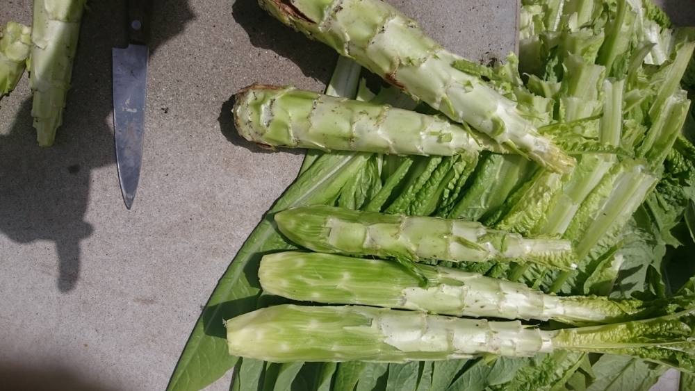 f:id:eatgarden:20150425164642j:plain f:id:eatgarden:20150425164642j:plain