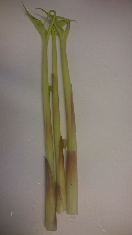 f:id:eatgarden:20150503165246j:plain f:id:eatgarden:20150503165246j:plain