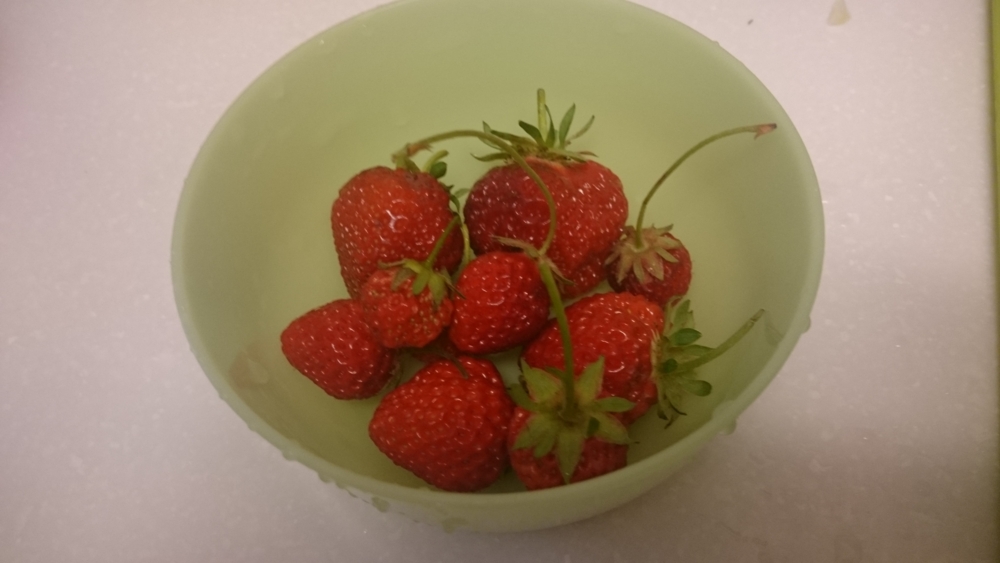 f:id:eatgarden:20150530082050j:plain f:id:eatgarden:20150530082050j:plain