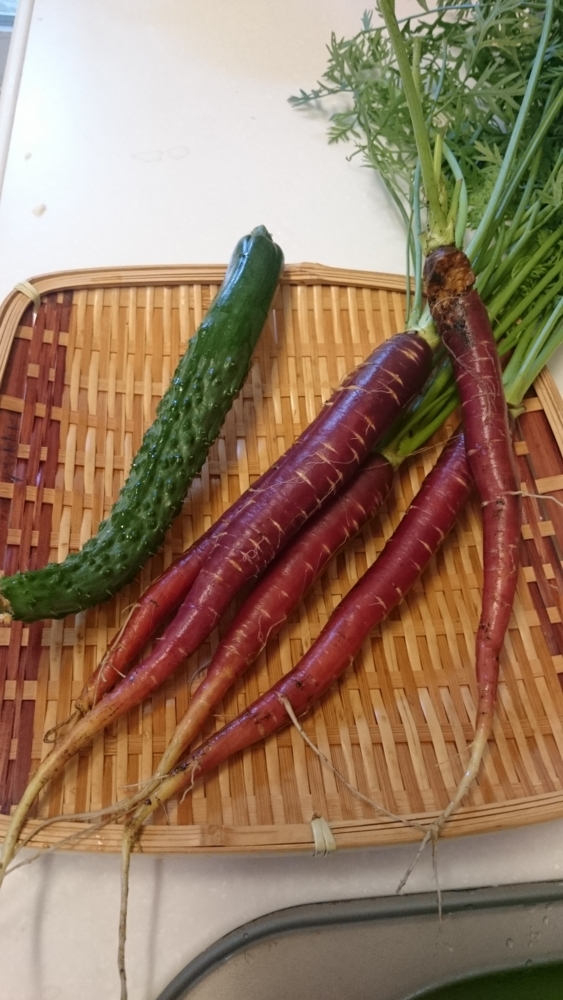 f:id:eatgarden:20150530082217j:plain f:id:eatgarden:20150530082217j:plain