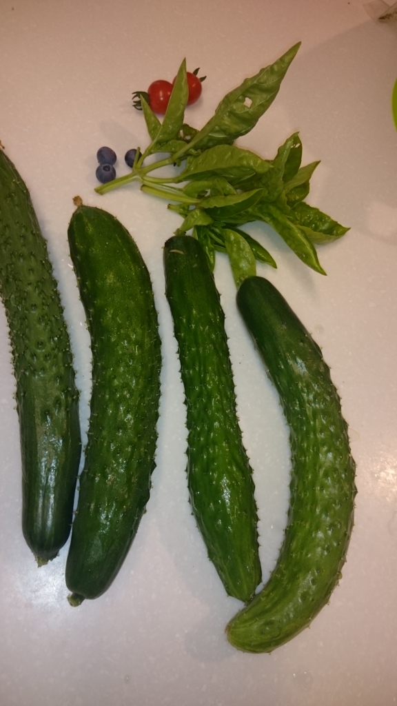 f:id:eatgarden:20150628232912j:plain f:id:eatgarden:20150628232912j:plain
