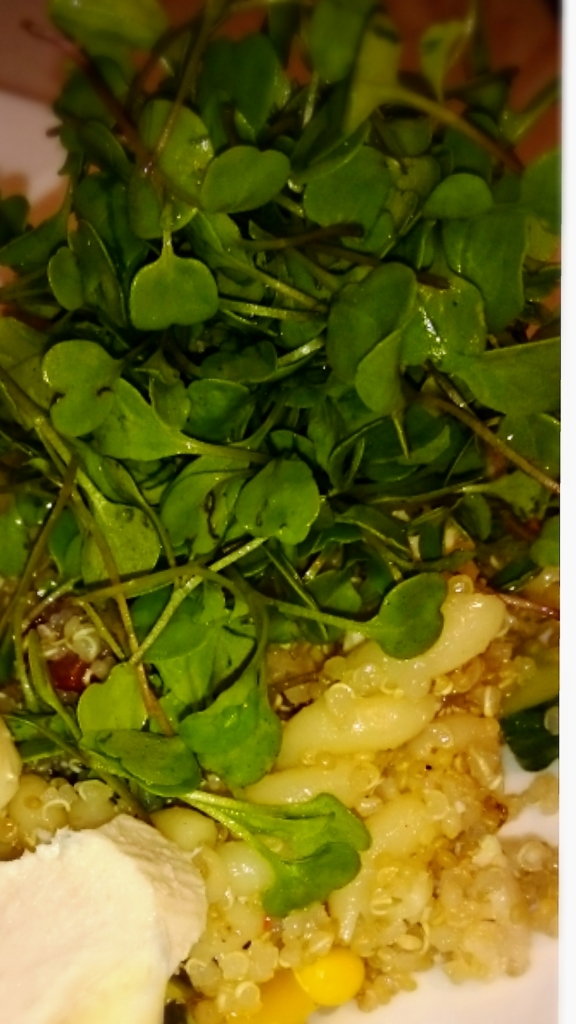 f:id:eatgarden:20150629085408j:plain f:id:eatgarden:20150629085408j:plain