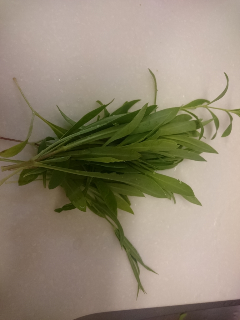 f:id:eatgarden:20150807094240j:plain f:id:eatgarden:20150807094240j:plain