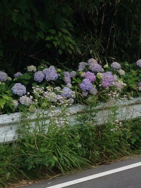 f:id:ebiharaism:20150608222714j:image f:id:ebiharaism:20150608222714j:image