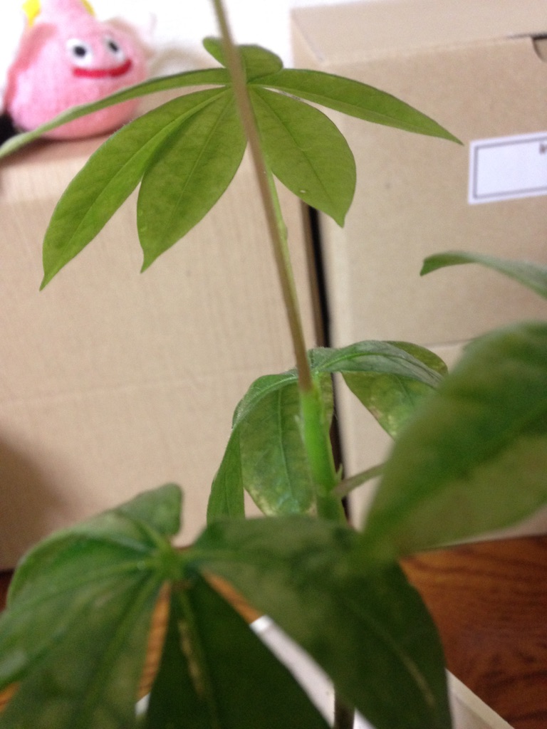 f:id:ebiharaism:20150924193518j:image f:id:ebiharaism:20150924193518j:image