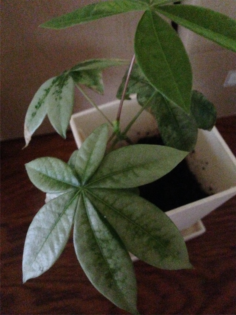 f:id:ebiharaism:20151001205436j:image f:id:ebiharaism:20151001205436j:image