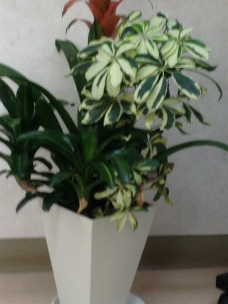 f:id:ebiharaism:20151005160521j:image f:id:ebiharaism:20151005160521j:image