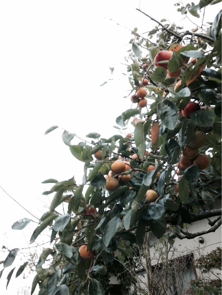 f:id:ebiharaism:20151005160637j:image f:id:ebiharaism:20151005160637j:image