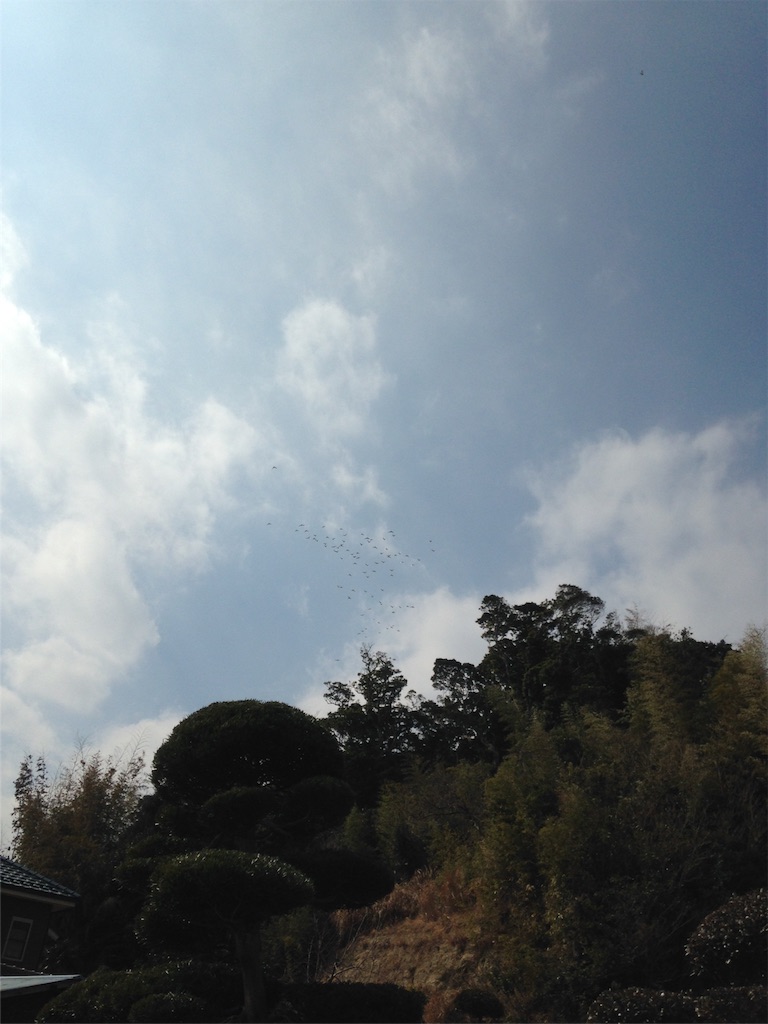 f:id:ebiharaism:20160305154603j:image f:id:ebiharaism:20160305154603j:image