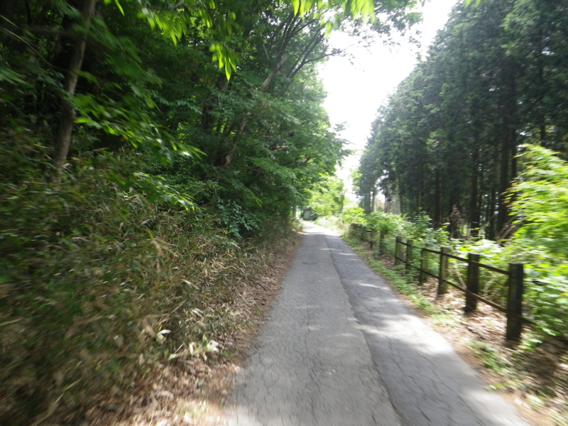 f:id:ebikocycle:20150525133039j:plain