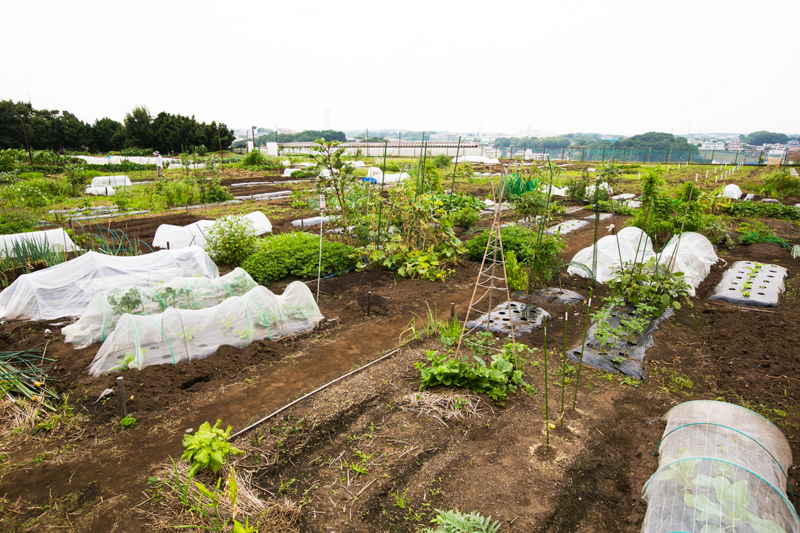 f:id:ec_maki:20151014120054j:plain f:id:ec_maki:20151014120054j:plain